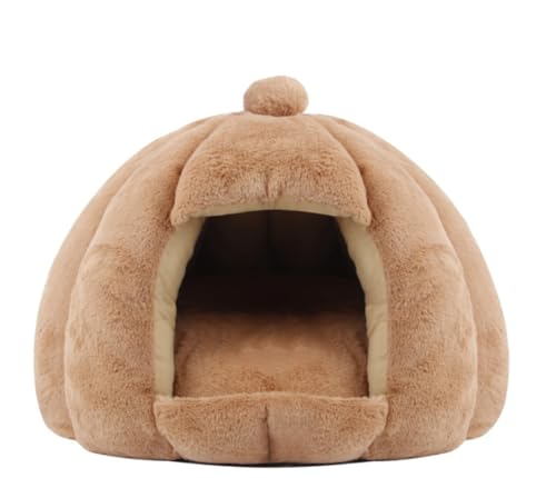 SefoemutLnEX ~p Lpxbh L h[^ xbh  p ybgpQ ۉh  _炩  ~ ^ Lbg lC p xe QNbVt (x[W,XL 60*50*20CM)