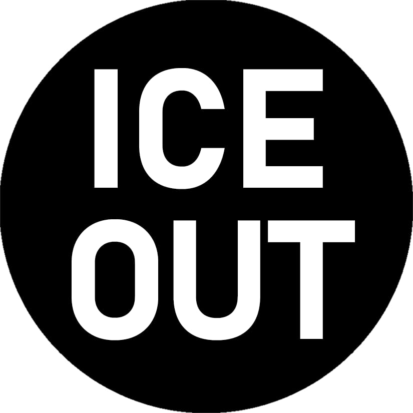 3 ICE Out Stickers 2.5 Cool Round Protest Trump Immigration Sticker