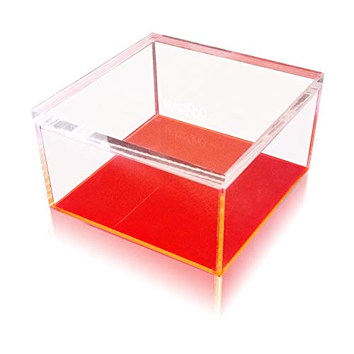 OnDisplay Electric Neon Luxe Clear Acrylic Storage Treasure Box - Large