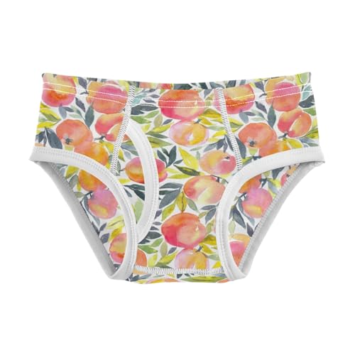 Boys' Exclusive Briefs Toddler Underwear 95% Combed Cotton Boxerbriefs 2T Peach Pattern 68