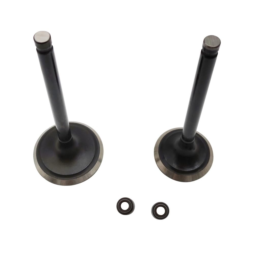 Kit de sello de válvula de admisión y componentes de motor para modelos HS 3