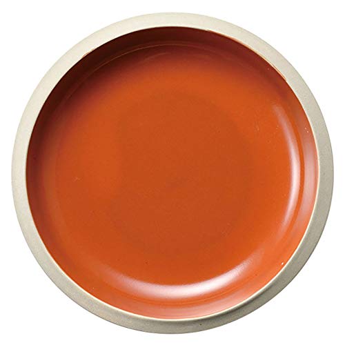 FADZECO プレート 皿 カレー エスニック料理 食器 約25cm 白 瀬戸焼 食洗機 電子レンジ対応 日本製 白 プレート カレー皿 食器 (オレンジ)