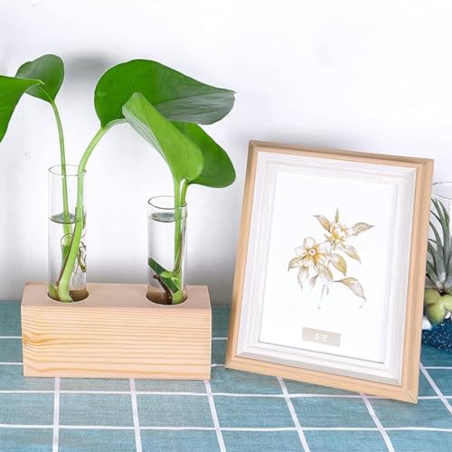 Image of ecofynd Test Tube Planter with Wooden Holder, Air Planter Glass Vase Holder with 2 Test Tube, Home Decor Hydroponic Plant Stand for Table Top, Desktop, Living Room, Office (TTP002)