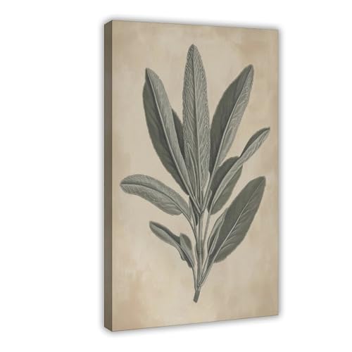 Aquarelle botanique sauge poster toile pour mur blanc vide