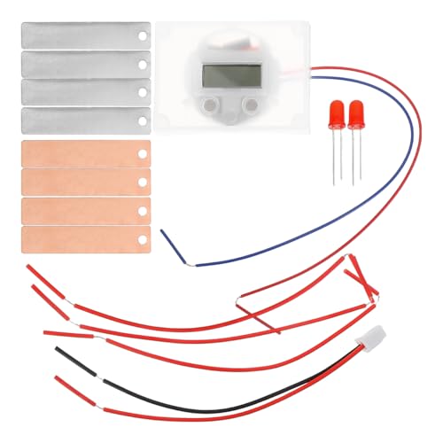 STOBOK 2sätze DIY Obstbatterie Experimentierkasten Wissenschaftliches Experiment Für Schüler Lernspielzeug Kreativität Und Praktischen Fähigkeiten