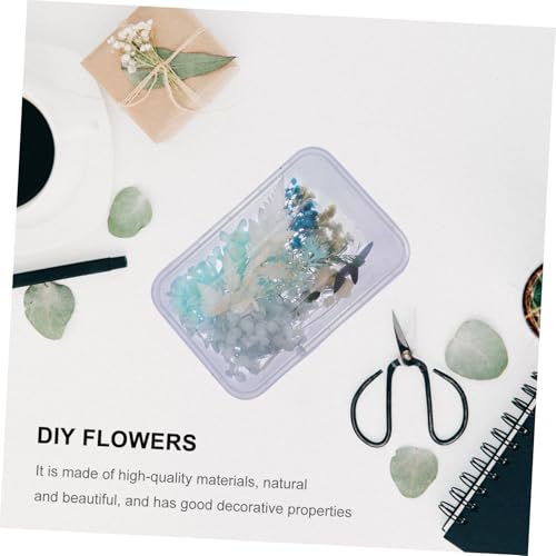 Kits de flores secas naturales para decoración artesanal miniatura 5