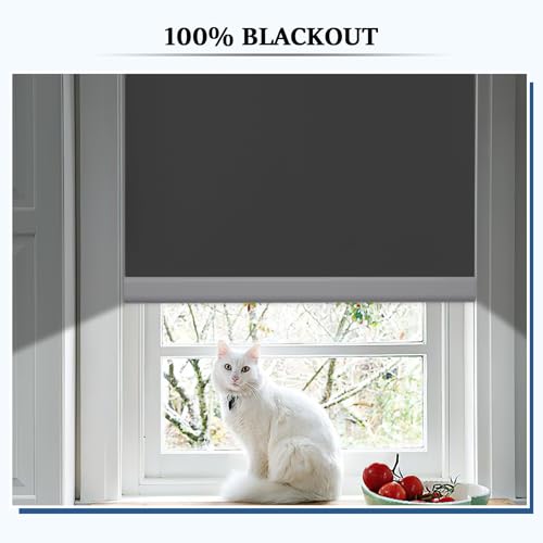 Grandekor Motorized Roller Shade With Remote Control,Motorized Blinds100% Blackout Electric Shades thumb #4