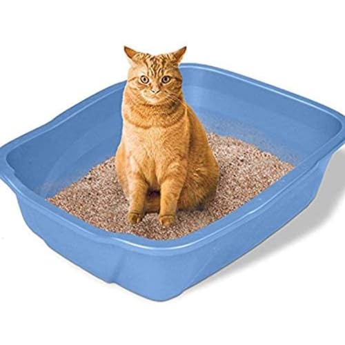 Image of Emily Pets Bentonite Cat Litter | Fresh Scent | Highly Absorbent Clumping Litter | Effective Odor Control | Dust Free (Lavender, 5 L)