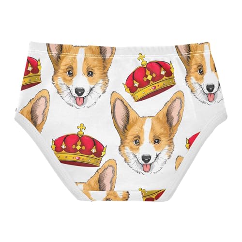 Joisal Cotton Toddler Girls Underwear Dog Red Gold Royal Crown Girl Panties Cute Flower Briefs Undies Kids 2t2