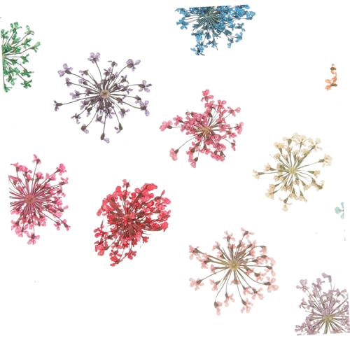 Flores secas para manualidades en resina, pack de 3 miniatura 6