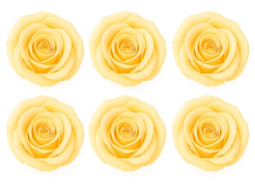 LA ROSEE ETERNELLE Caja con 6 Rosas Eternas Naturales de Ecuador – Flores Preservadas para Decoración DIY para Adultos, Arreglos Florales, Eventos y Regalos Decorativos – Color : Crema
