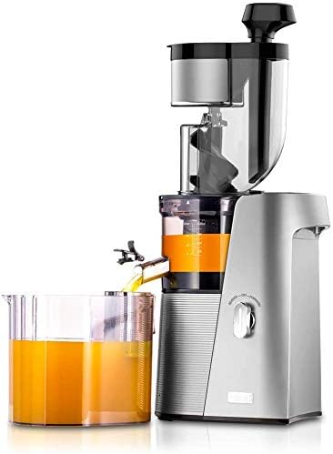 skg cold press juicer