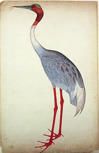 Toile Sarus Crane Shaikh Zain Ud Din 60x90cm pour salon