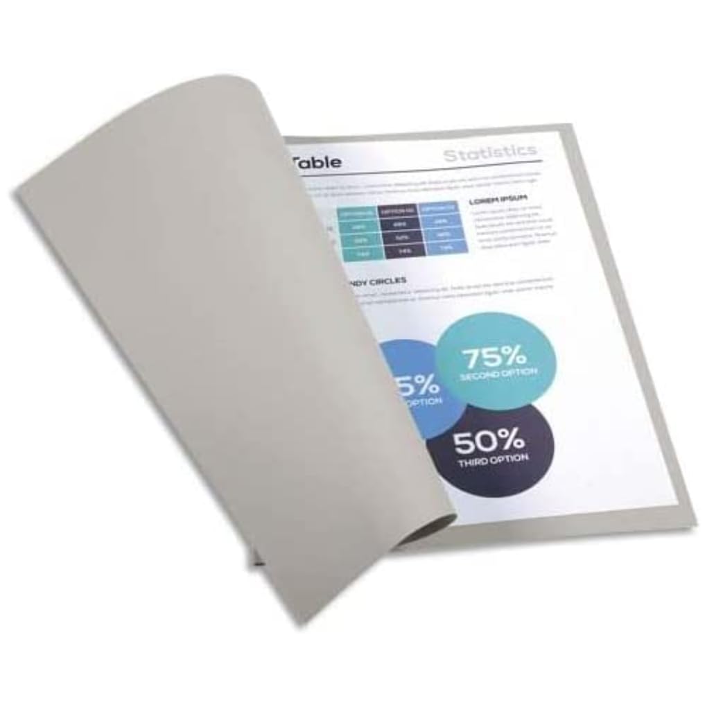 Exacompta 410009E Cartelle Semplici, 220 g, DIN A4, 24 x 32 cm, Grigio