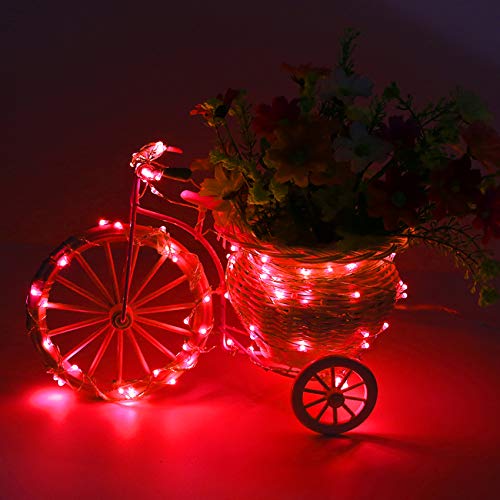 Er Chen 99Ft Led String Lights, 300 Led Fairy Starry Lights On 30M Silvery Copper Wire String Lights For Christmas (Red) #TOP1