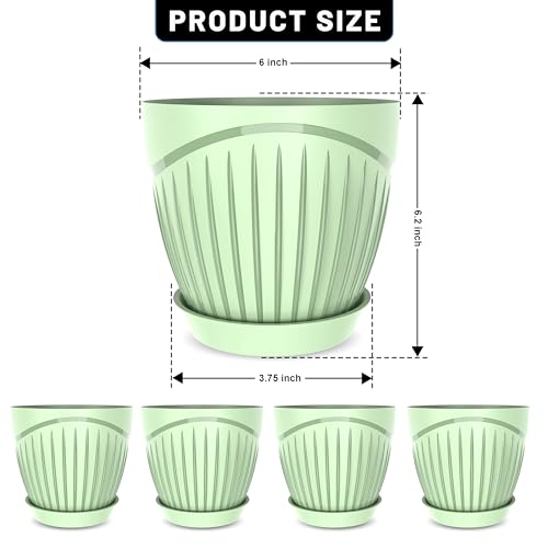 Image of ELUVIA Plastic Plant Pots with Drainage Holes and Trays - Set of 5 (6 Inch) - Minimalist Decorative Indoor Flower Pots for Living Room, Balcony & Office Garden (Green)