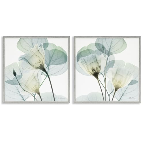 Stupell Industries 'Divine Fate Flowers'�A2pc�t���[������W�[�N���[�A�[�g�Z�b�g2�A�O���[�A54 x 64�C���`�A�|���₷�����A�č����A�A���o�[�g�E�P�[�c�B�A�[��