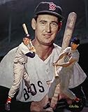 Ted Williams Boston Red Sox MLB Baseball Outfielder HOF Hall of Fame Art Print 1AM3 on 36x48 Stretched Gallery Wrap Canvas Frame