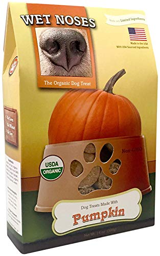 Wet Noses Pumpkin & Quinoa Crunchy Treats for Dogs 14oz