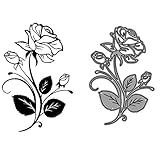 Unveiling the Mystery: Why Are My Rose Cuttings Dying? 4 41jLf4Ne7TS. SL160