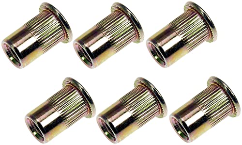 Dorman 963-254D: Rivet Nut - M6