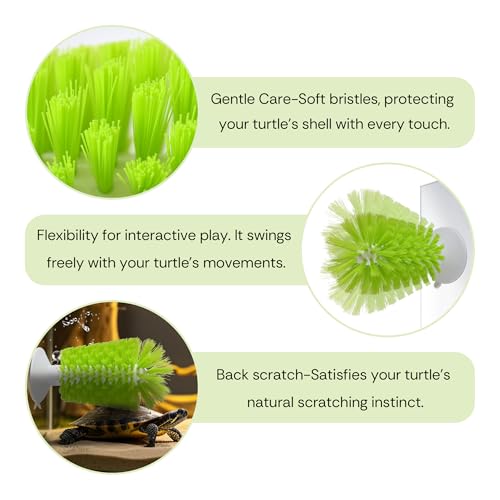 Image of 2-in-1 Turtle Brush and Feeder Ball Set, Turtle Tank Accessories