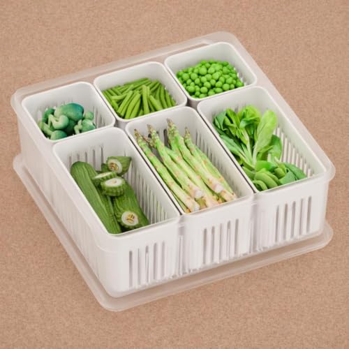 Image of TASMAX Fridge Storage Boxes, Plastic Fridge Containers, Fridge Accessories Items, (FRIDGE CONTAINER LARGE BOX-6 GRID)