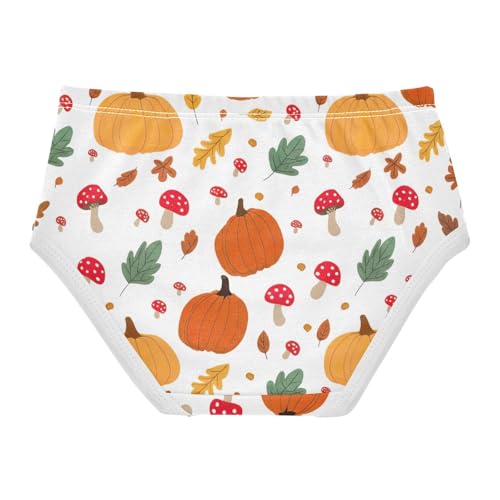 Autumn Pumpkins Toddler Underwear Custom 2t Cotton Cute Panties Girl Colorful Underpants Briefs2