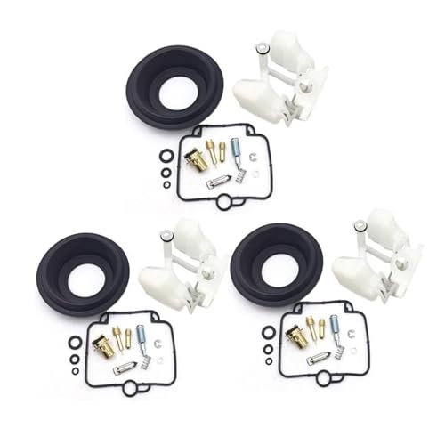 Fuite carburant résolue avec le kit de réparation carburateur Trident 900