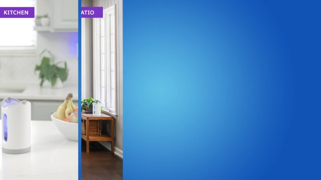 Zevo MAX Bug Catcher & Fly Trap for Indoors - Flying Insect Trap for Gnats, House & Fruit Flies - Use in Any Room - No-Mess Disposal (1 Plug in Base & 2 Cartridges)