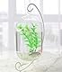 Tincogo Ornament-Display-Ständer, Eisen hängend Stehen Rack Halter für Glas Globe Air Anlage Terrarium hängen Weiß
