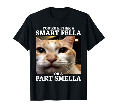 You're Either a Smart Fella or a Fart Smella Funny Cat Meme T-Shirt