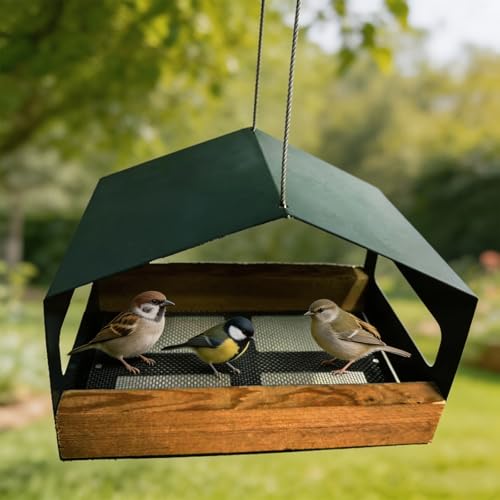 Mangeoire permanente oiseaux en fer forgé durable pour extérieur - 7