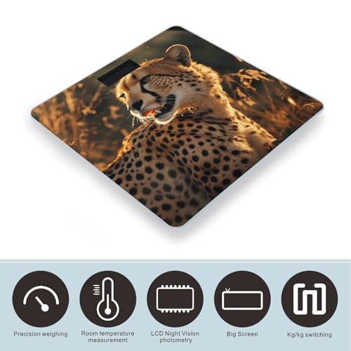 Báscula Digital de Baño Precisa Cheetah 400lb miniatura 3