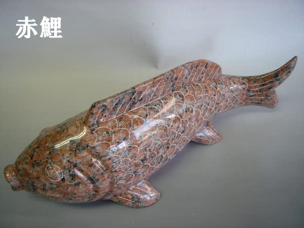 Amazon.co.jp: 鯉2匹セット(枯山水セット) 黒鯉と赤鯉の2匹