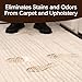 Bull Shot Carpet Spot & Stain Remover by Horsepower, AS SEEN ON TV, Made In USA, Just Point & Spray, Stain-Lifting Foam-Action, Pet Stains & Odors, Coffee, Soda, Wine, Grease, New & Old Stains & More