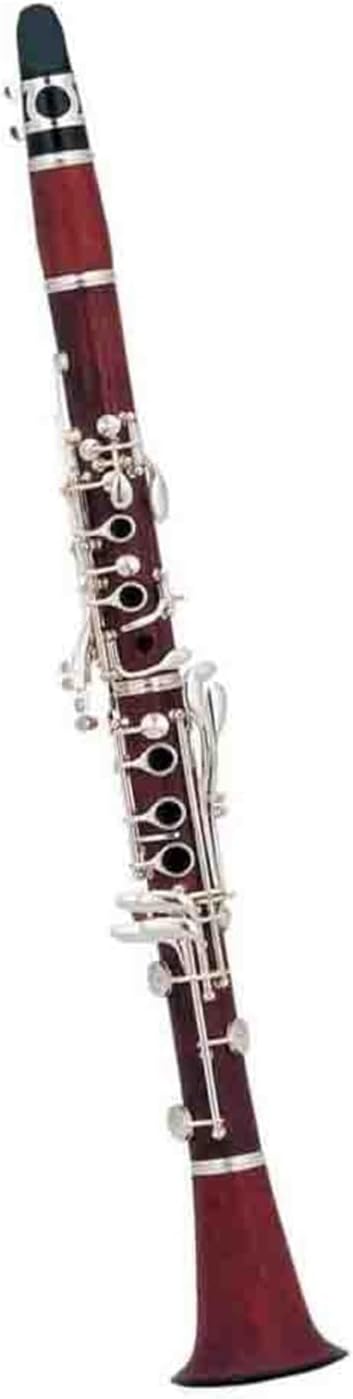 Bb Key Clarinet Rosewood Solid Professional Instrument Clarinet Instrument