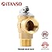 iTANSO 3/4-inch IPS Isolator Tankless Water Heater Service Valve Kit, with Pressure Relief Valve and Clean Brass Construction