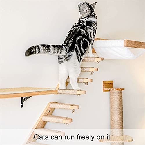 Escalier mural pour chat pour optimiser l'espace du salon avec style