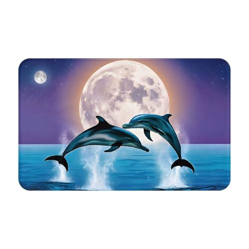 Cute Dolphins Print Living Room Bathroom Kitchen Anti Slip and Absorbent Carpet, Indoor Entrance Door Muddy Floor Mat, Ultra Soft Washable Carpet 21x31.5 Inches