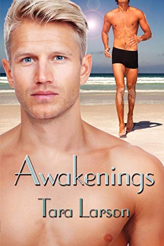 Awakenings view 2