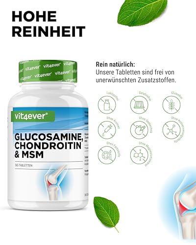 vit4ever Glucosamin Chondroitin MSM - 365 Tabletten - Hochdosiert mit 2012 mg pro Tag - 3 Monatsvorrat - Ohne unerwünschte Zusätze