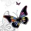 Butterfly White Background - White