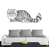 Producto de marca alemana de calidad con instrucciones detalladas para pegar.