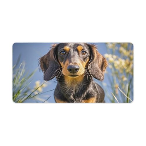 Pad Dachshund �}�E�X�p�b�h ��^ �m���X���b�v �I�t�B�X�f�X�N�}�b�g ��^�R���s���[�^�[�ƃm�[�g�p�\�R���}�b�g �m�[�g�p�\�R���v���e�N�^�[ ���C�e�B���O�p�b�h �I�t�B�X�z�[���p 12�C���` x 24�C���`