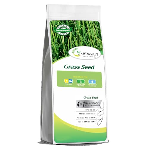 Image of American Bermuda Lawn Grass Seeds for Lawn, Turf, Cricket Ground, Stadium, Park, Farmhouse, Sports Field, Garden Grass, Fast Growing, Gardening Seeds | (Bermuda Lawn Grass Seeds)