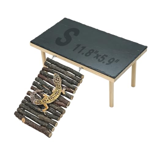 BNOSDM Bearded Dragon Basking Rock Platform with Climbing Ramp Reptiles Hideout Hide Cave Reptile Tank Accessories Suit for Tortoise Lizard Toad Gecko (Small)
