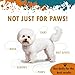 Petsus Dog Paw Balm – Lick-Safe Wax & Moisturizer for Dry, Cracked Pads, Nose & Snout – Natural Protection for Winter & Hot Pavement with Dead Sea Minerals, Shea Butter, Coconut Oil – 1.75 oz