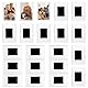 FRTAOOP 21 Stück Magnet Bilderrahmen für Kühlschrank, Mini Bilderrahmen 4,5 x 7 cm, Transparente Bilderrahmen Klein, Kleine Fotos auf Kühlschrankmagnete, Geschenke für Familie und Freunde
