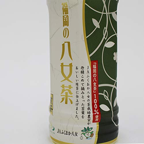 八女茶 ペットボトル 500ml×24本
